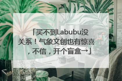 买不到Labubu没关系！气象文创也有惊喜，不信，开个盲盒→