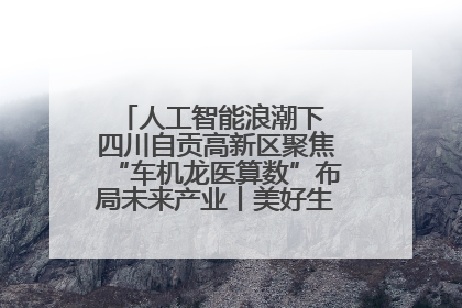 人工智能浪潮下 四川自贡高新区聚焦“车机龙医算数”布局未来产业丨美好生活有“盐”味