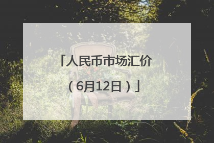 人民币市场汇价（6月12日）