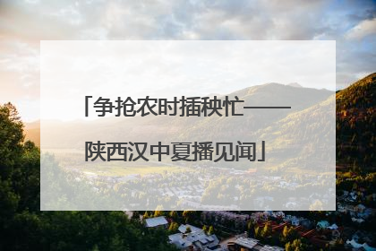 争抢农时插秧忙——陕西汉中夏播见闻
