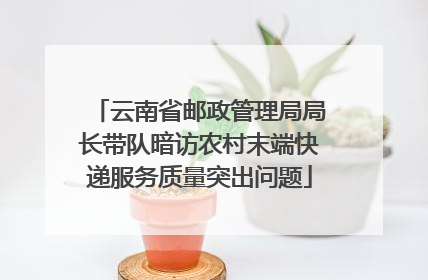 云南省邮政管理局局长带队暗访农村末端快递服务质量突出问题