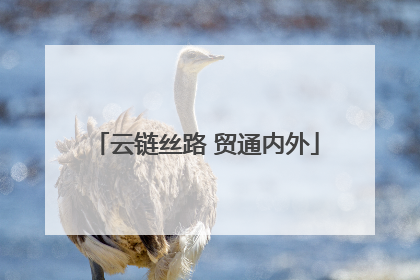 云链丝路 贸通内外