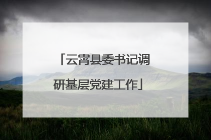 云霄县委书记调研基层党建工作