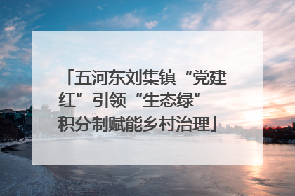 五河东刘集镇“党建红”引领“生态绿” 积分制赋能乡村治理