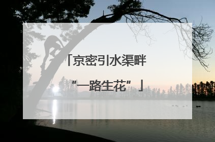 京密引水渠畔“一路生花”