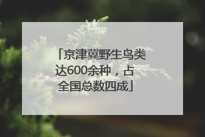 京津冀野生鸟类达600余种，占全国总数四成