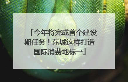 今年将完成首个建设期任务！东城这样打造国际消费地标→