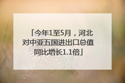 今年1至5月，河北对中亚五国进出口总值同比增长1.1倍