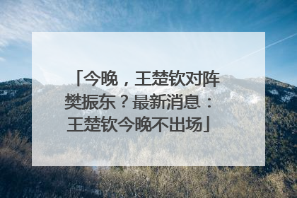 今晚，王楚钦对阵樊振东？最新消息：王楚钦今晚不出场