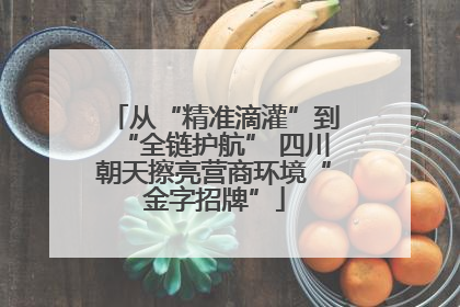 从“精准滴灌”到“全链护航” 四川朝天擦亮营商环境“金字招牌”