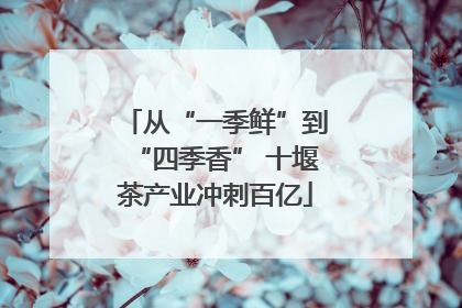 从“一季鲜”到“四季香” 十堰茶产业冲刺百亿