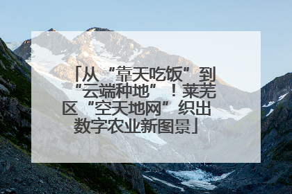 从“靠天吃饭”到“云端种地”！莱芜区“空天地网”织出数字农业新图景