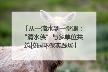 从一滴水到一堂课：“清水侠”与多单位共筑校园环保实践场