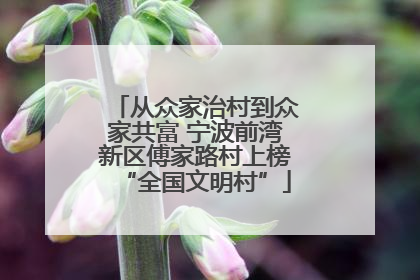 从众家治村到众家共富 宁波前湾新区傅家路村上榜“全国文明村”