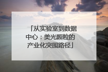 从实验室到数据中心：美光颗粒的产业化突围路径