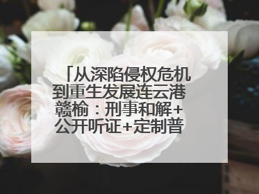 从深陷侵权危机到重生发展连云港赣榆：刑事和解+公开听证+定制普法，让玩具公司回到正轨