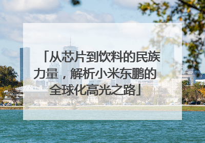 从芯片到饮料的民族力量，解析小米东鹏的全球化高光之路