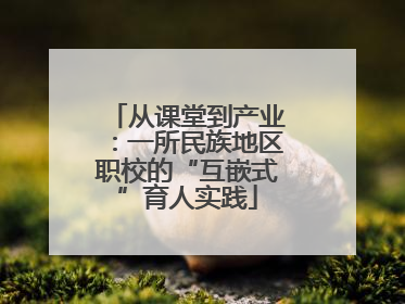 从课堂到产业：一所民族地区职校的“互嵌式”育人实践