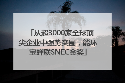 从超3000家全球顶尖企业中强势突围，能环宝蝉联SNEC金奖