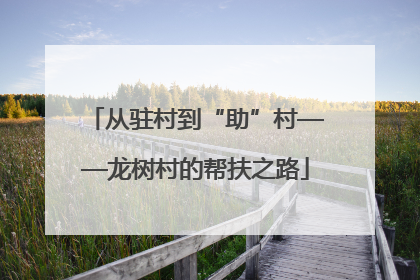 从驻村到“助”村——龙树村的帮扶之路