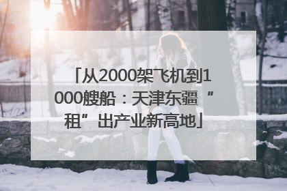 从2000架飞机到1000艘船：天津东疆“租”出产业新高地