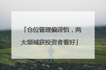 仓位管理偏谨慎，两大领域获投资者看好