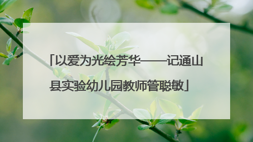 以爱为光绘芳华——记通山县实验幼儿园教师管聪敏