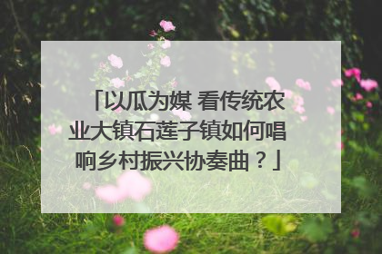 以瓜为媒 看传统农业大镇石莲子镇如何唱响乡村振兴协奏曲？