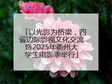 以光影为桥梁，四省边际影视文化交流暨2025年衢州大学生电影季举行