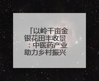 以岭千亩金银花田丰收景：中医药产业助力乡村振兴的生动写照