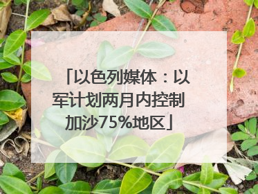 以色列媒体：以军计划两月内控制加沙75%地区