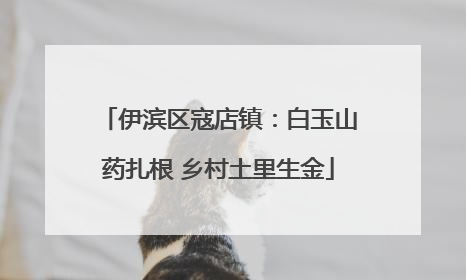 伊滨区寇店镇：白玉山药扎根 乡村土里生金