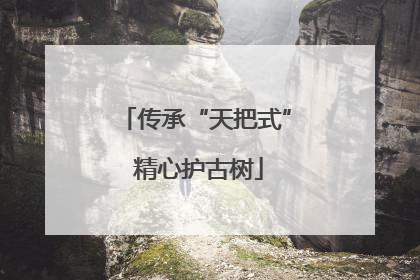 传承“天把式” 精心护古树