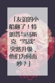 友谊的小船翻了！特朗普与马斯克“骂战”突然升级，他们为何而吵？