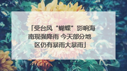 受台风“蝴蝶”影响海南现强降雨 今天部分地区仍有暴雨大暴雨