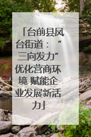 台前县凤台街道：“三向发力”优化营商环境 赋能企业发展新活力