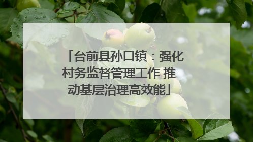 台前县孙口镇：强化村务监督管理工作 推动基层治理高效能