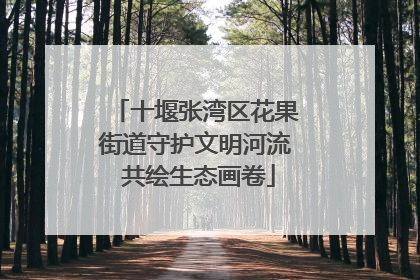十堰张湾区花果街道守护文明河流 共绘生态画卷