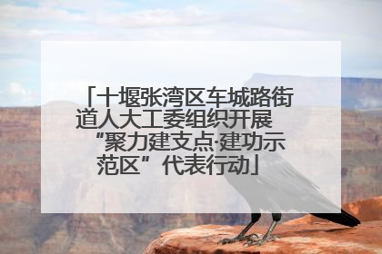 十堰张湾区车城路街道人大工委组织开展 “聚力建支点·建功示范区”代表行动
