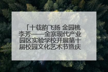 十载韵飞扬 金园桃李芳——金寨现代产业园区实验学校开展第十届校园文化艺术节暨庆“六一”系列活动