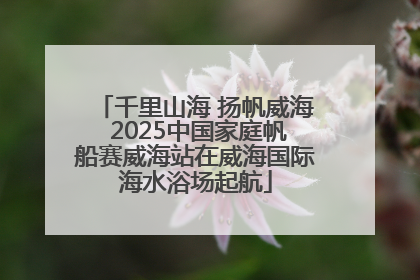 千里山海 扬帆威海 2025中国家庭帆船赛威海站在威海国际海水浴场起航