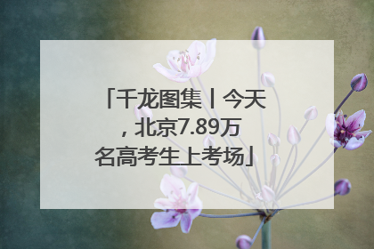 千龙图集丨今天，北京7.89万名高考生上考场