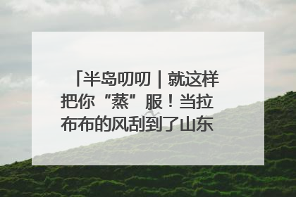半岛叨叨｜就这样把你“蒸”服！当拉布布的风刮到了山东馒头界……