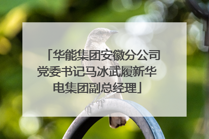 华能集团安徽分公司党委书记马冰武履新华电集团副总经理