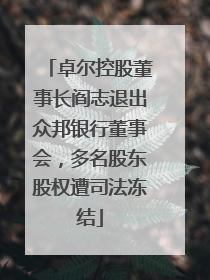 卓尔控股董事长阎志退出众邦银行董事会，多名股东股权遭司法冻结