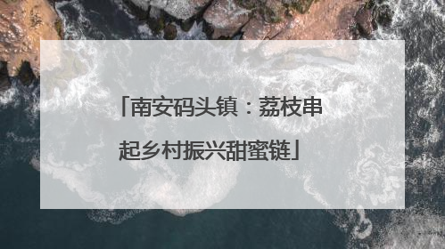 南安码头镇：荔枝串起乡村振兴甜蜜链