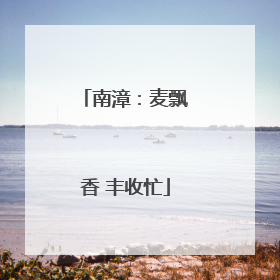 南漳：麦飘香 丰收忙
