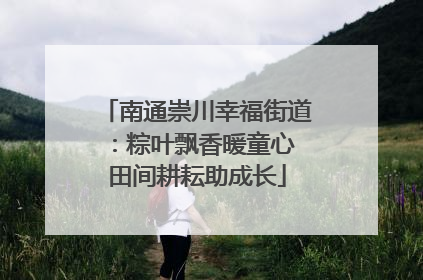 南通崇川幸福街道：粽叶飘香暖童心 田间耕耘助成长