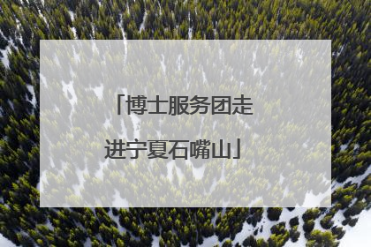 博士服务团走进宁夏石嘴山
