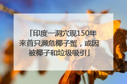 印度一洞穴现150年来首只濒危椰子蟹，或因被椰子和垃圾吸引